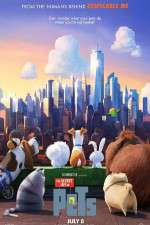 Watch The Secret Life of Pets Nowvideo
