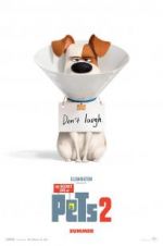 Watch The Secret Life of Pets 2 Nowvideo