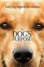 Watch A Dog's Purpose Nowvideo