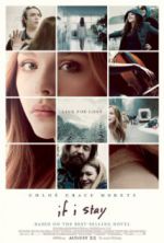 Watch If I Stay Nowvideo