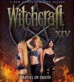 Watch Witchcraft 14: Angel of Death Nowvideo