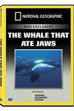Watch Predator CSI The Whale That Ate Jaws Nowvideo