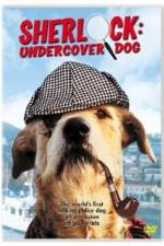 Watch Sherlock Undercover Dog Nowvideo