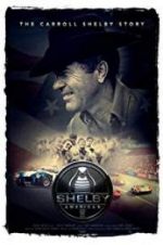 Watch Shelby American Nowvideo