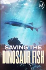 Watch Saving the Dinosaur Fish Nowvideo