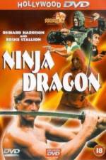 Watch Ninja Dragon Nowvideo