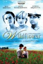 Watch Wildflower Nowvideo