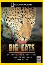 Watch National Geographic: Living With Big Cats Nowvideo