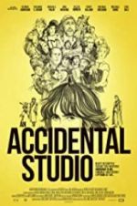 Watch An Accidental Studio Nowvideo
