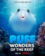Watch Puff: Wonders of the Reef Nowvideo
