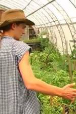 Watch Green House Seeds Strain Hunters India Expedition Nowvideo