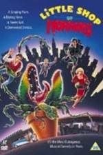 Watch Little Shop of Horrors Nowvideo