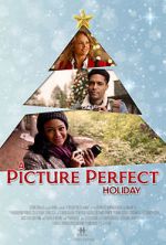 Watch A Picture Perfect Holiday Nowvideo