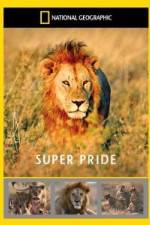 Watch National Geographic: Super Pride Africa\'s Largest Lion Pride Nowvideo