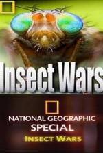 Watch National Geographic Insect Wars Nowvideo