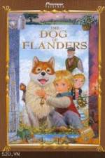 Watch The Dog of Flanders Nowvideo