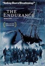 Watch The Endurance Nowvideo