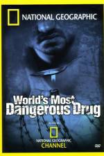 Watch Worlds Most Dangerous Drug Nowvideo