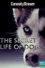 Watch Secret Life of Dogs Nowvideo