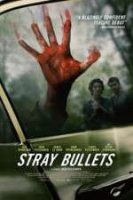 Watch Stray Bullets Nowvideo
