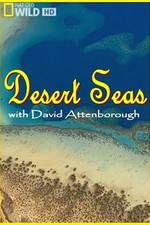 Watch Desert Seas Nowvideo