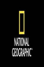 Watch National Geographic Wild Animal Attacks On Vacation Nowvideo