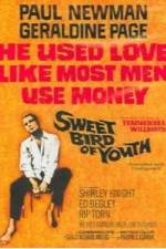Watch Sweet Bird of Youth Nowvideo