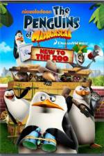 Watch Penguins of Madagascar New to the Zoo Nowvideo