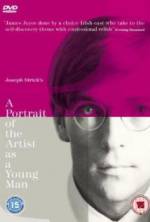 Watch A Portrait of the Artist as a Young Man Nowvideo