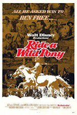 Watch Ride a Wild Pony Nowvideo