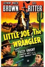Watch Little Joe, the Wrangler Nowvideo