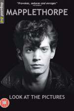 Watch Mapplethorpe: Look at the Pictures Nowvideo