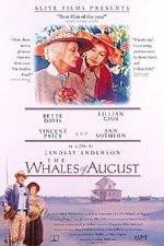 Watch The Whales of August Nowvideo