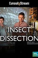 Watch Insect Dissection: How Insects Work Nowvideo
