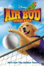 Watch Air Bud Spikes Back Nowvideo