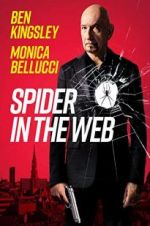 Watch Spider in the Web Nowvideo