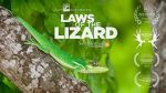 Watch Laws of the Lizard Nowvideo