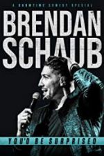 Watch Brendan Schaub: You\'d Be Surprised Nowvideo