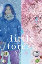 Watch Little Forest: Winter/Spring Nowvideo
