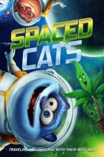 Watch Spaced Cats Nowvideo