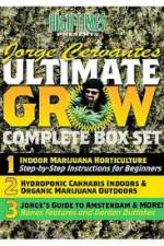 Watch Jorge Cervantes Ultimate Grow Complete Box Set Nowvideo