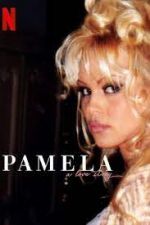 Watch Pamela, a Love Story Nowvideo