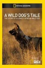 Watch A Wild Dogs Tale Nowvideo