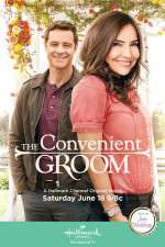 Watch The Convenient Groom Nowvideo