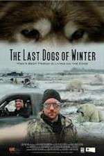 Watch The Last Dogs of Winter Nowvideo