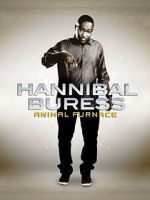 Watch Hannibal Buress: Animal Furnace Nowvideo
