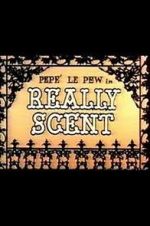 Watch Really Scent (Short 1959) Nowvideo
