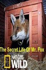 Watch The Secret Life of Mr. Fox Nowvideo