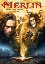 Watch Merlin and the Book of Beasts Nowvideo