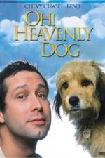 Watch Oh Heavenly Dog Nowvideo